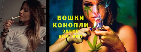 МДПВ Нягань