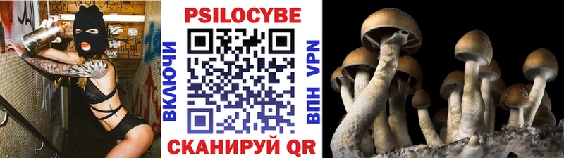 Галлюциногенные грибы MAGIC MUSHROOMS  Анадырь 