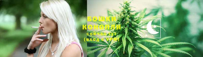 Шишки марихуана White Widow  где купить   Анадырь 